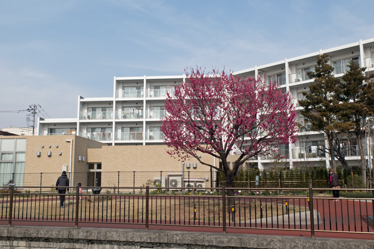 150315IMG3884
